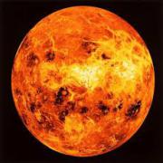 medium Venus beschikbaar